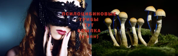 амф Бородино