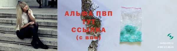 амф Бородино