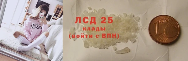 амф Бородино