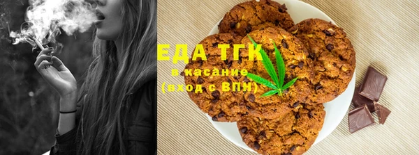 амф Бородино