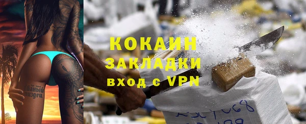 СК Бронницы