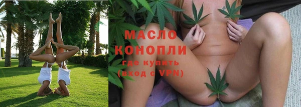 амф Бородино