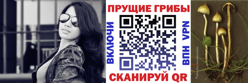 Галлюциногенные грибы MAGIC MUSHROOMS Новомосковск