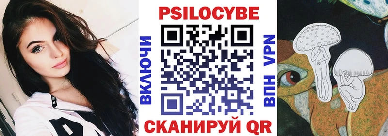 blacksprut ССЫЛКА  дарнет шоп  Новомосковск  Псилоцибиновые грибы ЛСД 