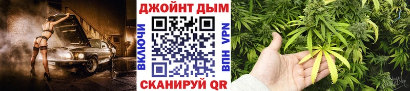 KRAKEN ONION  где продают   Новомосковск  МАРИХУАНА индика 